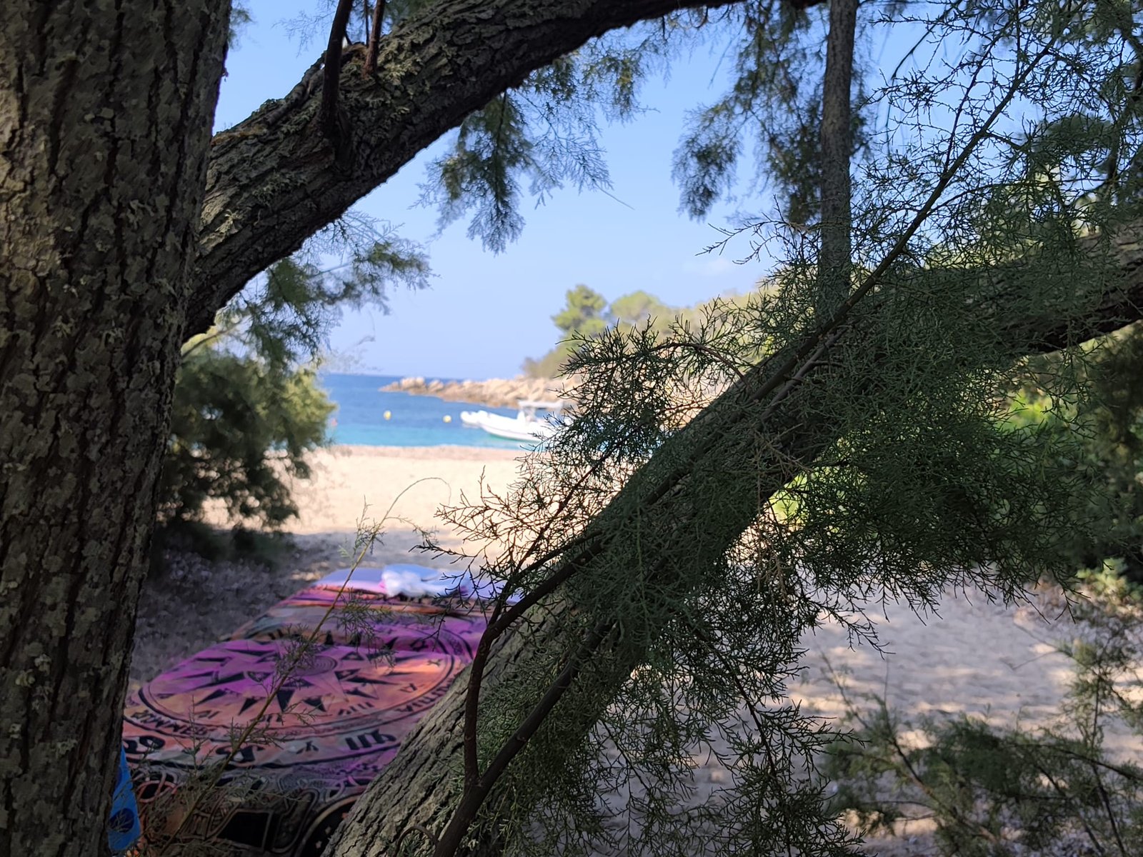Séance de massage à l’ombre des pins, sur une plage du sud de la Corse